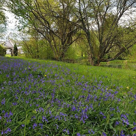Fermette Dans Les Pays De La Loire Villa Izé Eksteriør bilde