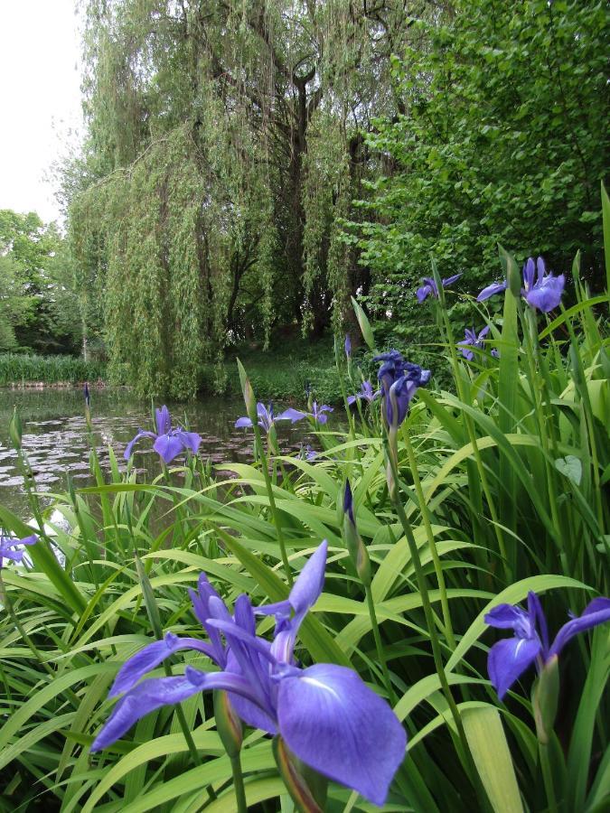 Fermette Dans Les Pays De La Loire Villa Izé Eksteriør bilde