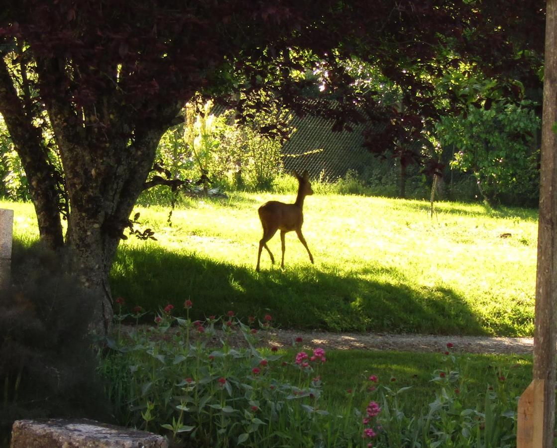 Fermette Dans Les Pays De La Loire Villa Izé Eksteriør bilde