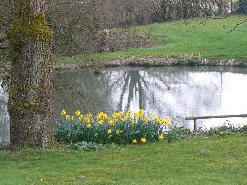 Fermette Dans Les Pays De La Loire Villa Izé Eksteriør bilde