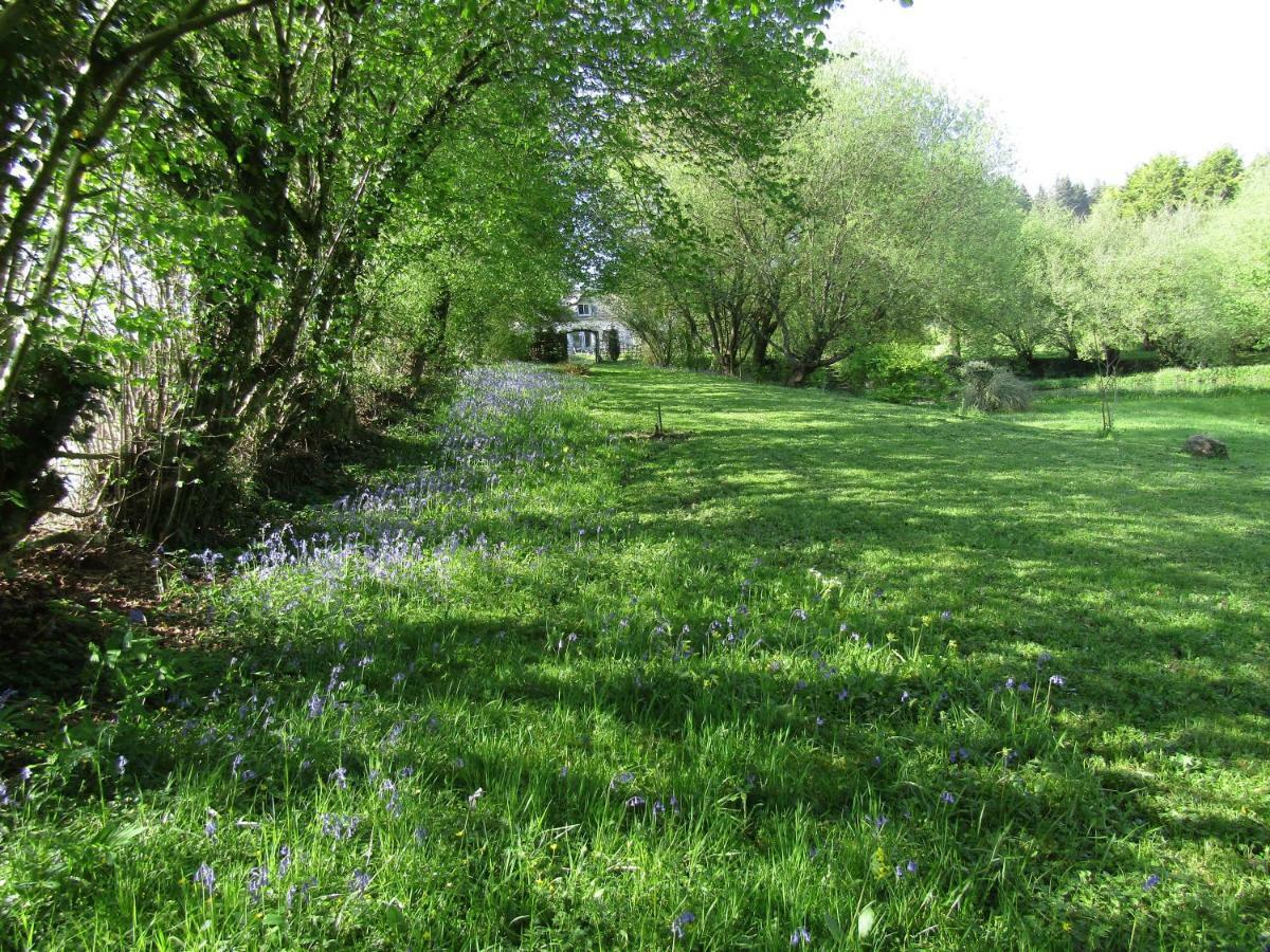 Fermette Dans Les Pays De La Loire Villa Izé Eksteriør bilde